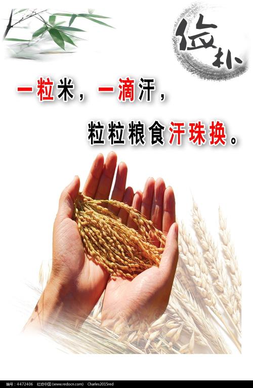 特拉帕尼音乐学院graduation certificate